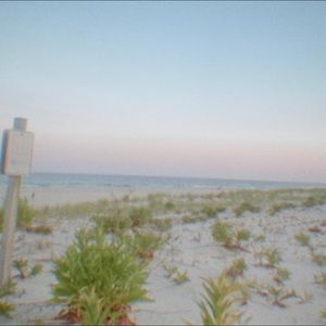 Meet your Posher, Avery